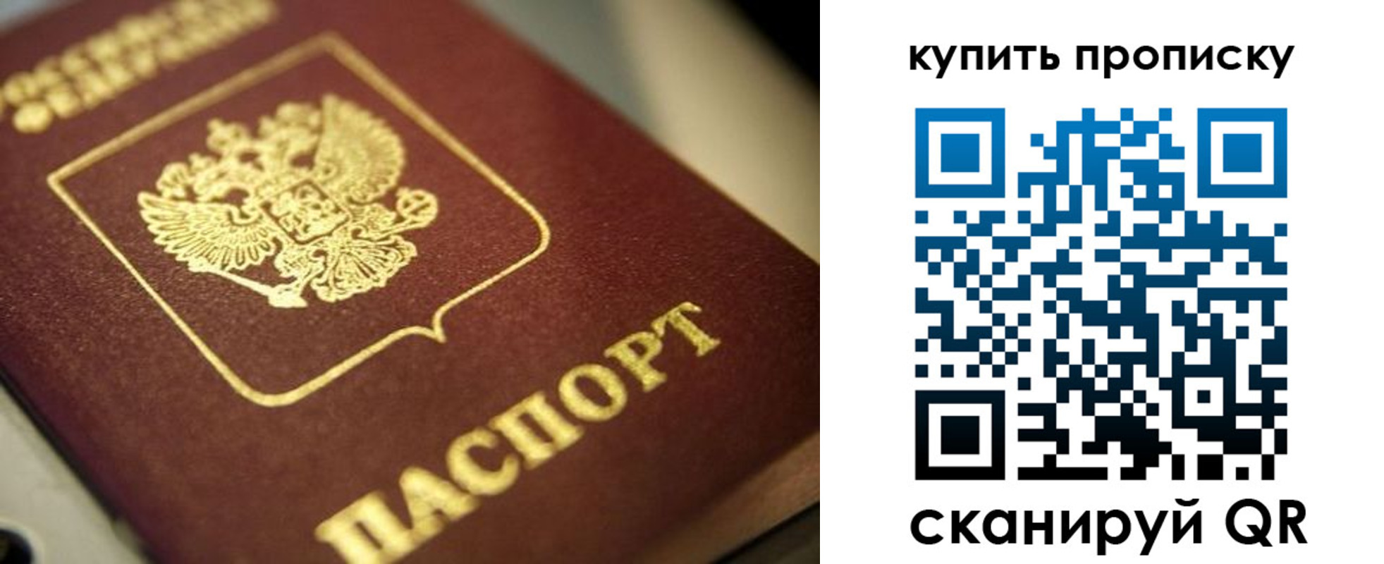 прописка поиск в Ардоне